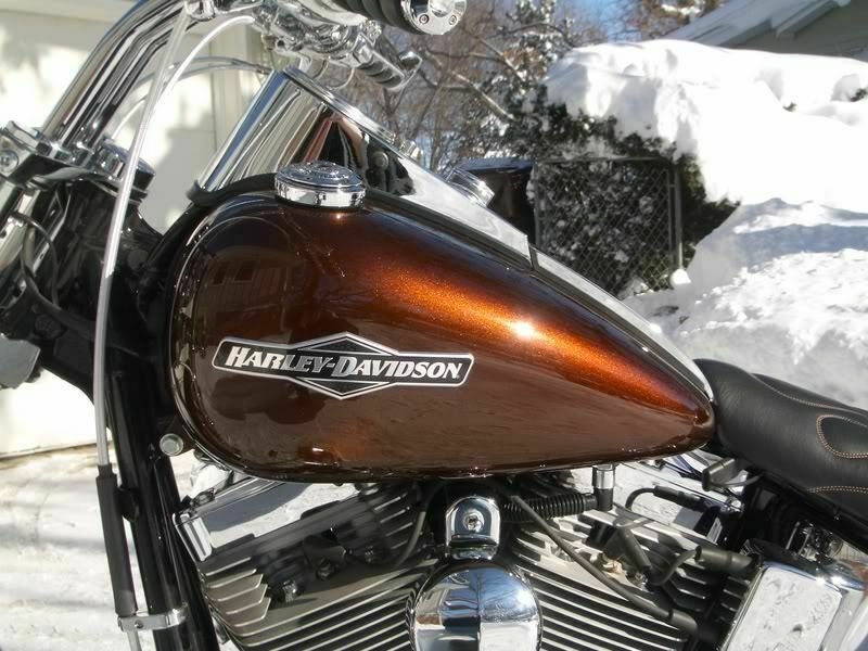 Fregi e scritte serbatoio Harley Davidson Dyna Street Fat Bob Wide Super Glide